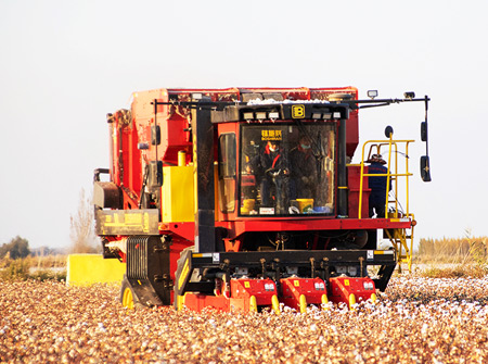 BG大游集团4MZD-3A型自走式圆捆打包棉花收获机