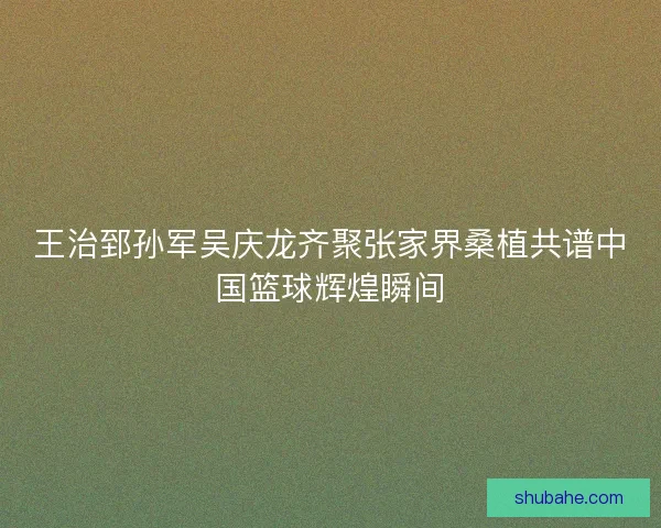 王治郅孙军吴庆龙齐聚张家界桑植共谱中国篮球辉煌瞬间
