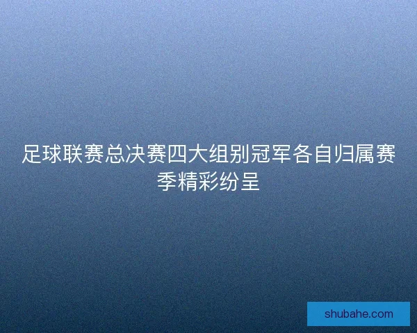 足球联赛总决赛四大组别冠军各自归属赛季精彩纷呈