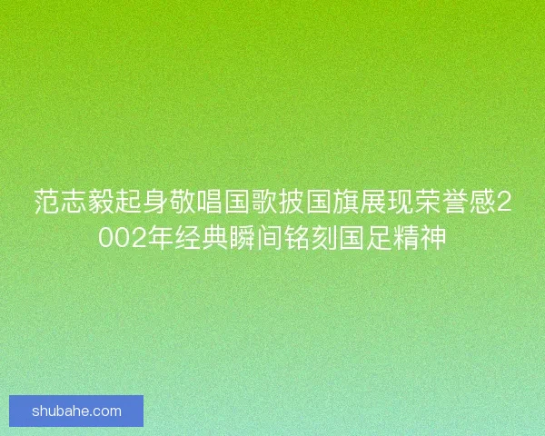 范志毅起身敬唱国歌披国旗展现荣誉感2002年经典瞬间铭刻国足精神